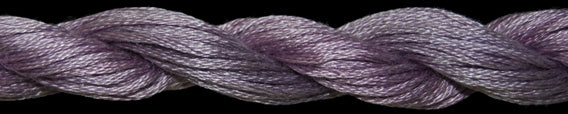 Purple Coral