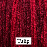 Tulip